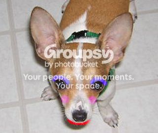 Image hosted by Photobucket.com