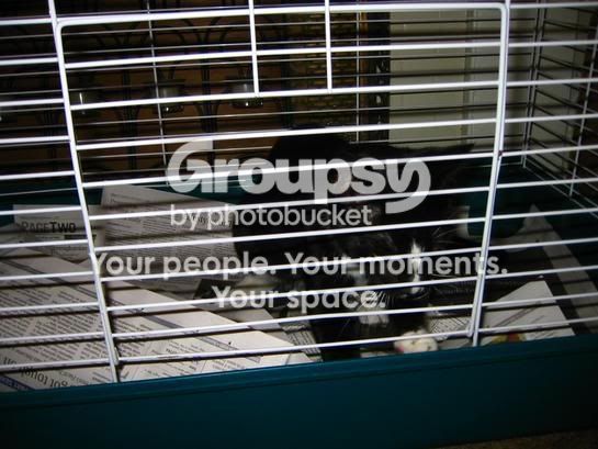 Photobucket - Video and Image Hosting