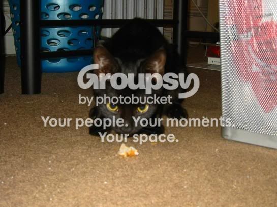 Photobucket - Video and Image Hosting
