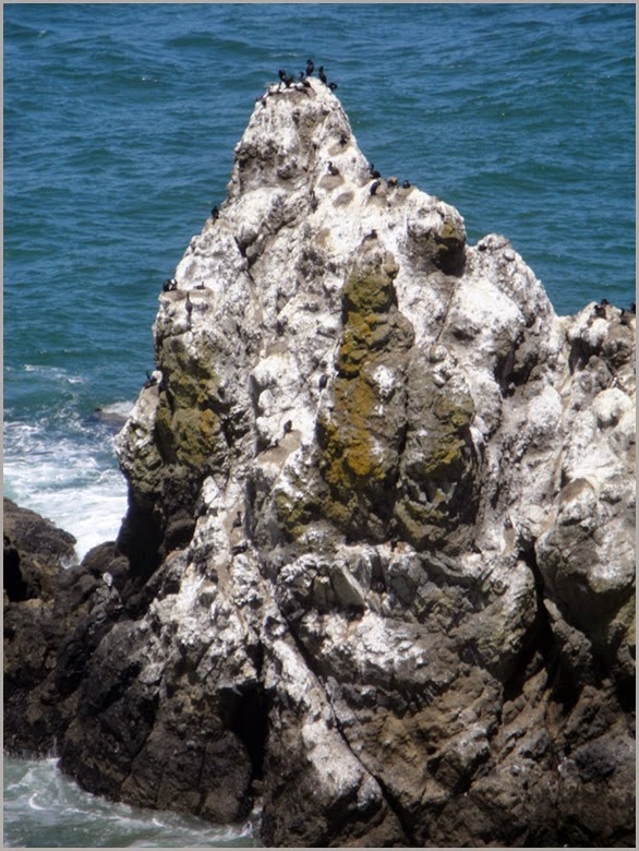 Oregon-Coast-10 Oregon-Coast-10