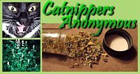 catnipanonymous.blogspot.com