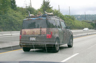 SUV with some kind of big animal horns mounted to the roof