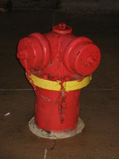 Red Fire Hydrant in Chicago, IL