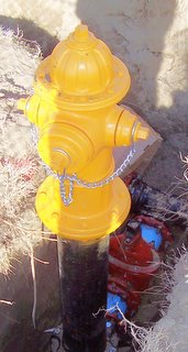Recently installed fire hydrant with pipes and underground cutoff valve showing in open trench.