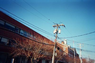 Birds on a wire