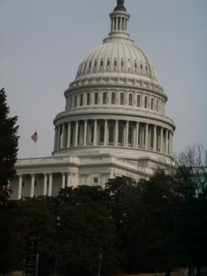 Congress