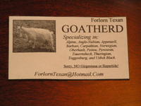 Business Card