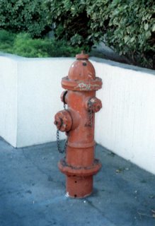 Fire Hydrant in Las Vegas, Nevada