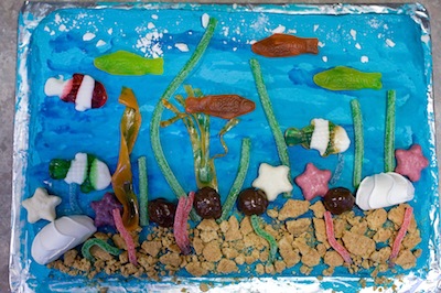 Tim's cake