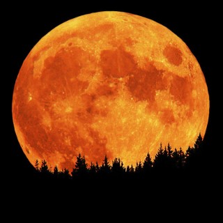 full_moon_orange
