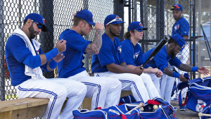 2014 Blue Jays