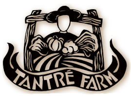 Join our Vegetable CSA! Tantre Farm
