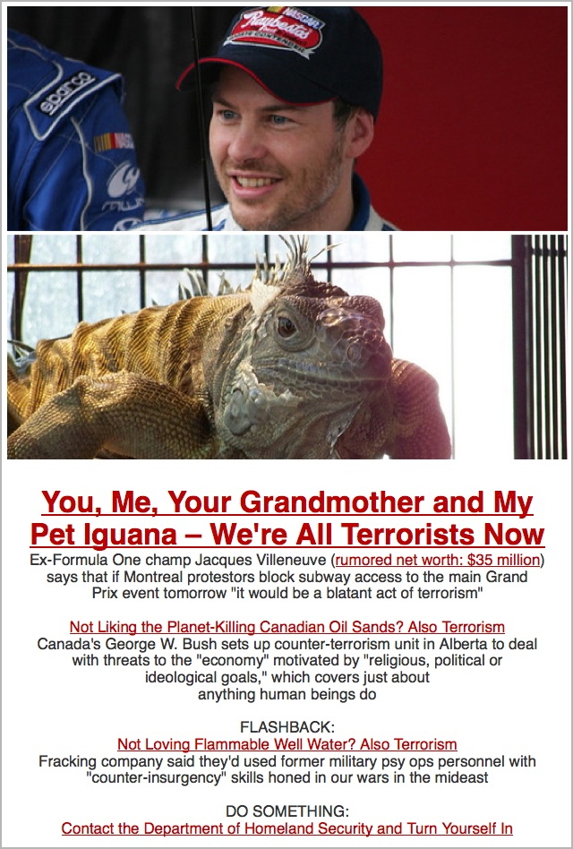 iguana.jpg