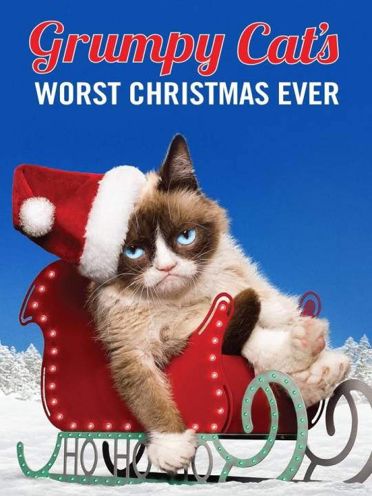 Have you watched Grumpy Cat’s Worst Christmas Ever yet?
Stream it now on @disneyplus . Or don’t....