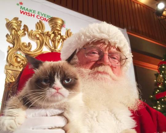 Have the Worst Christmas Ever.
🎁😾🎄