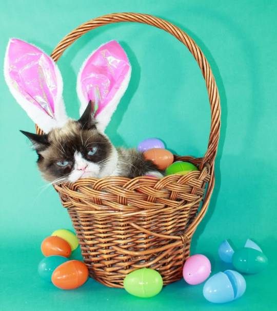 Have a terrible Easter 🥚 🐰 😾