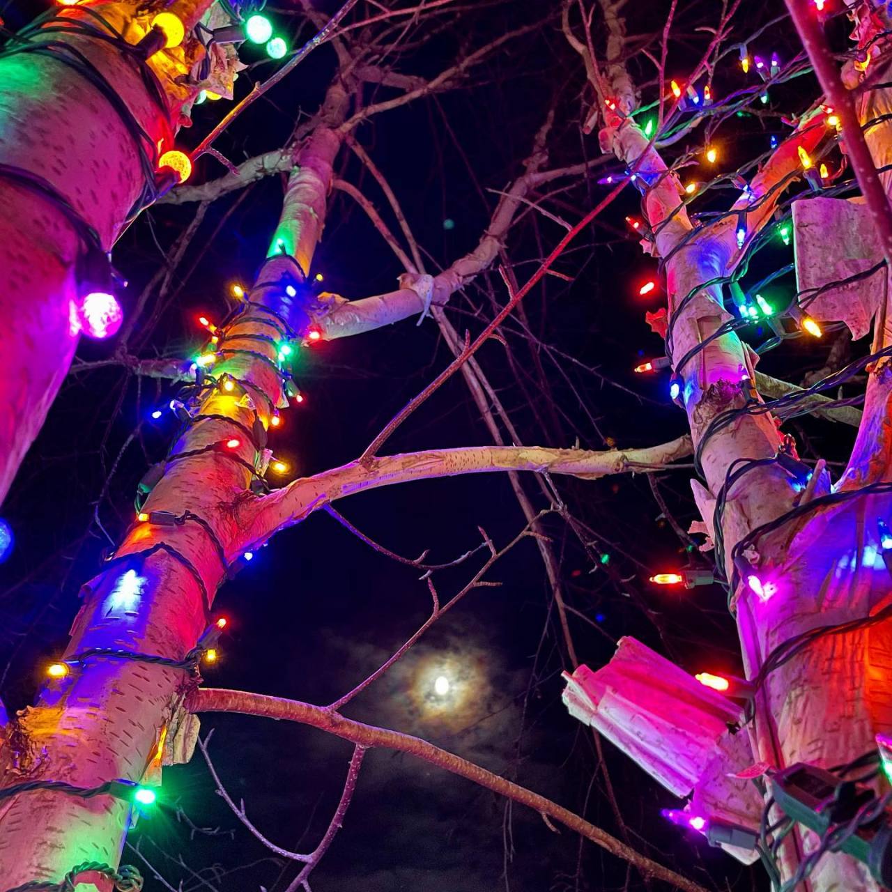 Christmas lights and waxing gibbous moon. https://instagr.am/p/CIM9nPyBSdJ/
