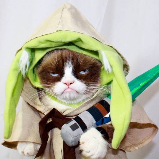 May The 4th Be Awful. Always.