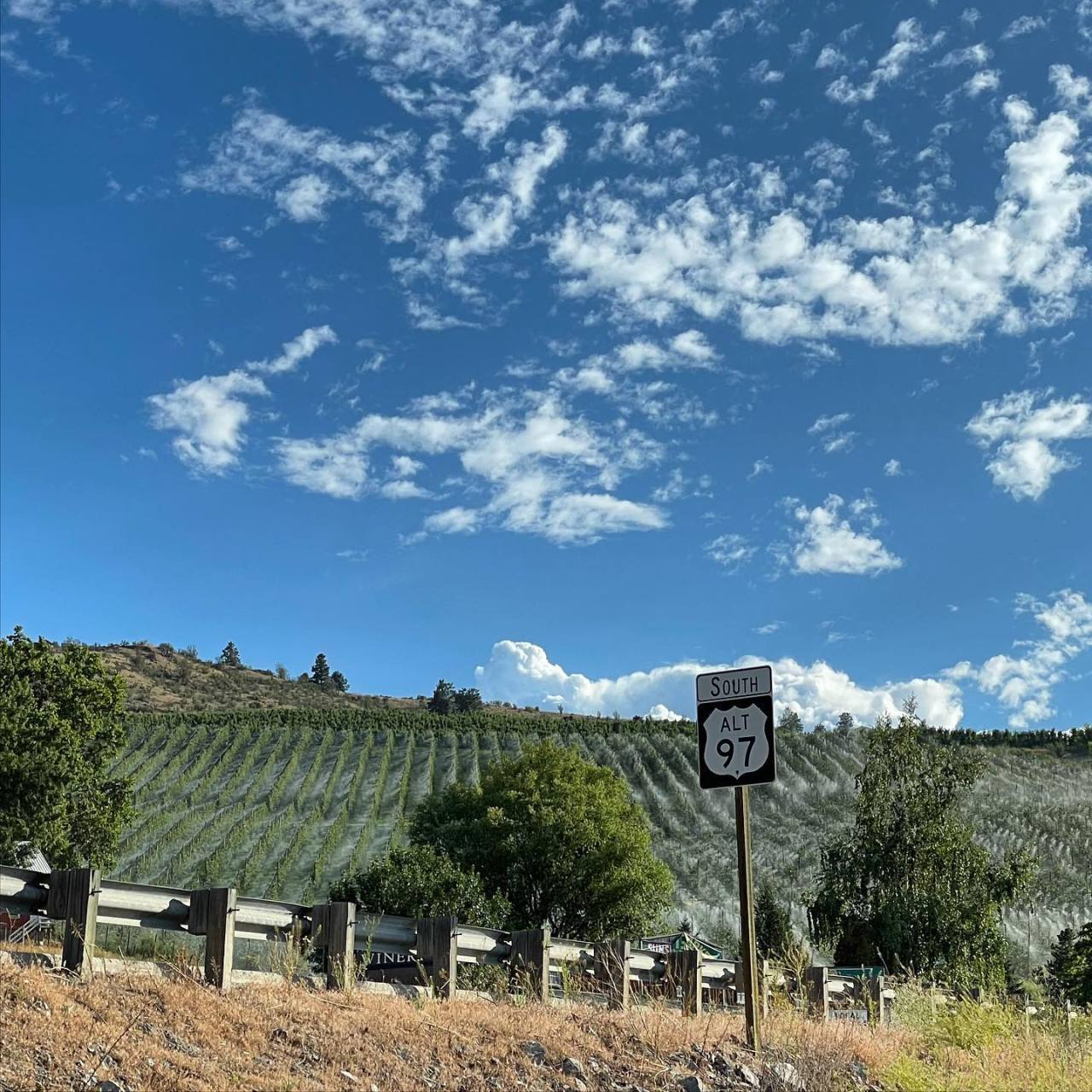 The grapes in Chelan get better treatment than the humans. They get misted when it is 95° out. https://instagr.am/p/CRFoaMosDOT/