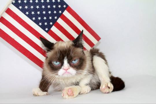 🇺🇸😾🧨