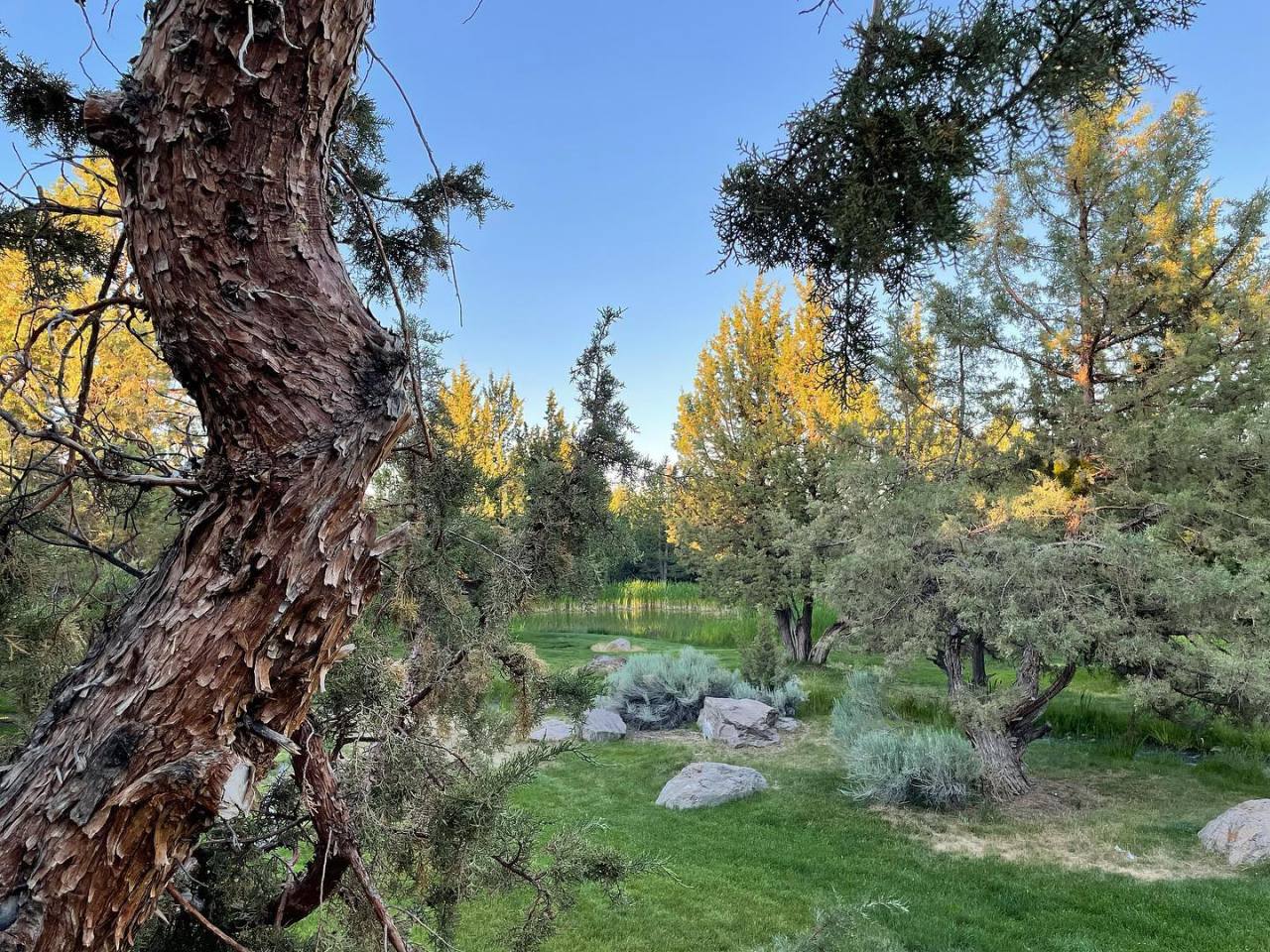 Our back yard for the next week. https://instagr.am/p/CQm53LThdAq/
