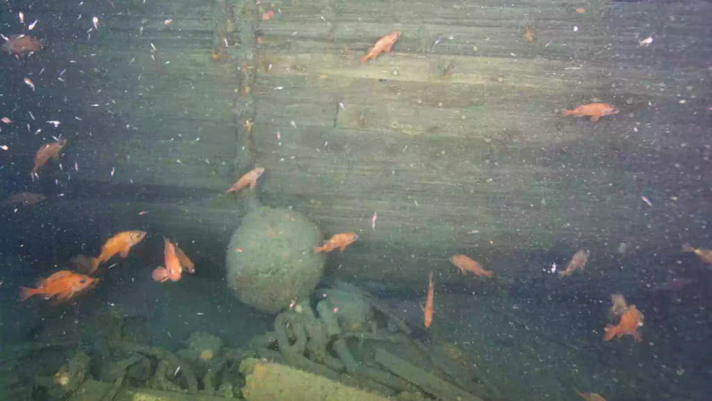 Underwater photo of decomposing shipwreck with orange fish swimming around, and probably some ghosts.