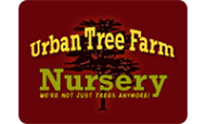 Urban Tree Farm Nursery