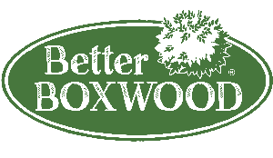 Better Boxwoods