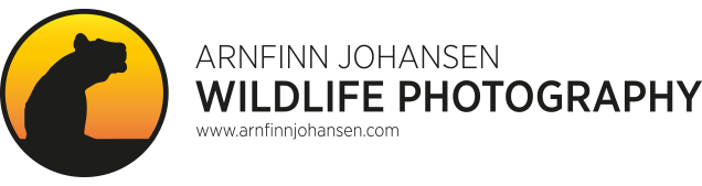 ajwp Arnfinn Johansen Wildlife Photography