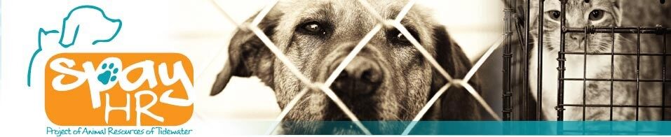 Spay Hampton Roads