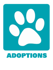 Adoptions and Rescue