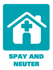 Spay Neuter Programs