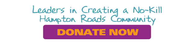 Donate Now to ART