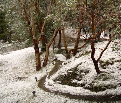 San Juan Island, snow on March 6, 2009