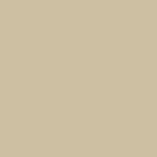 Pantone color, Nomad