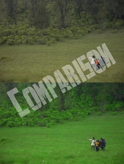Photoshop Tutorials