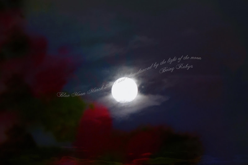 BeingRuby - Blue Moon March - 201003 - 8