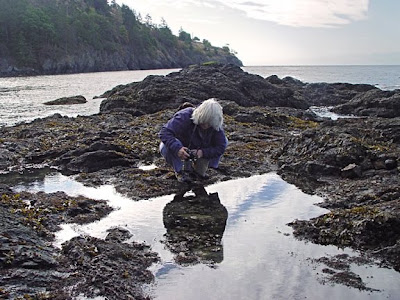 Elaine Hartley photographing tide pools