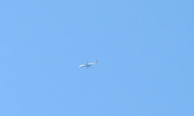 big ole jet airliner