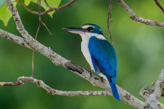 DSC_4665 DSC_4665