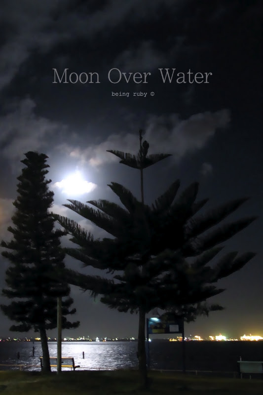 BeingRuby - 2010030 -Blue Moon - 3001 -6