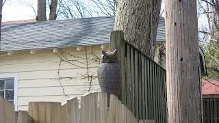 owl fence, Thursday, March 03, 2016, 12:43:27 PM