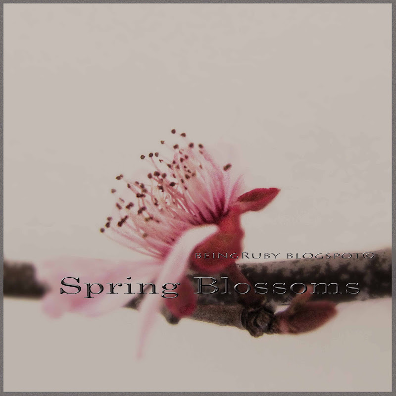 BeingRuby - Spring Blossoms -6c