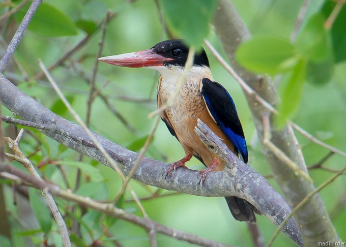 DSC_4861 DSC_4861