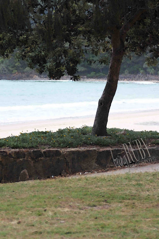 BeingRuby - Queensland-1