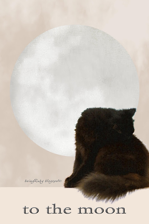 BeingRuby-ToTheMoonAlice-Feb2012-3