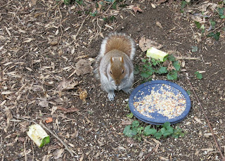 Nutkin, Today, February 06, 2016, 10:31:02 AM