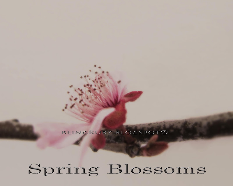BeingRuby - Spring Blossoms -8