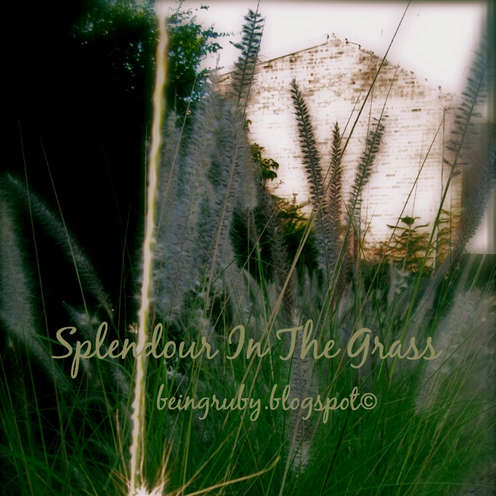 BeingRuby - splendourgrass - 201005 - 0b