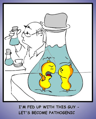 Cartoon by Sanja Saftic. Source: Biotoon.com - Microbiological Edutainment. Pathogenic microbes (cartoon)